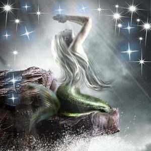 Meet your Posher, Cathie